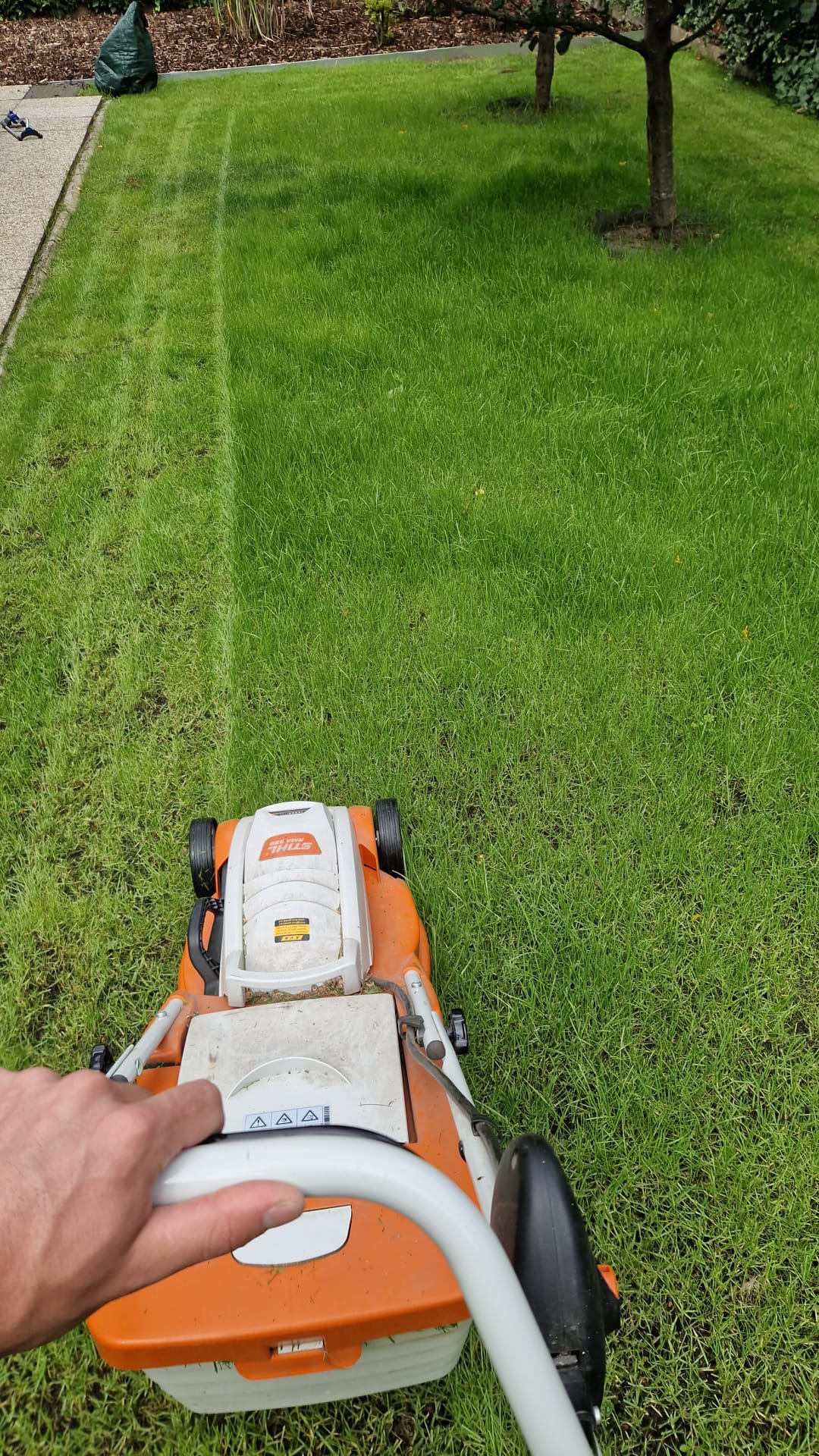 Rasenpflege mit Rasenmäher