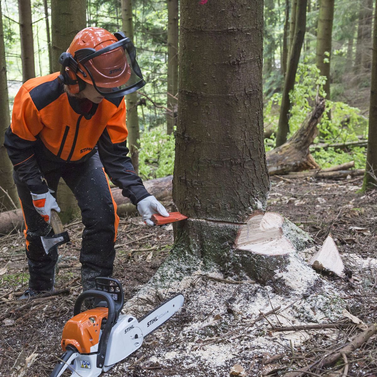Forstarbeiten Baumpflege